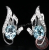 Bông tai đá Aquamarine thiên nhiên - MS: GEAQER017 - anh 1